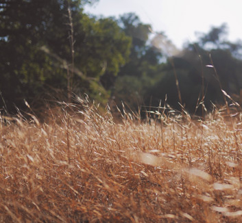 骑士队阴影笼罩：尼克斯阴影下的连败，寒冬中的挣扎与希望