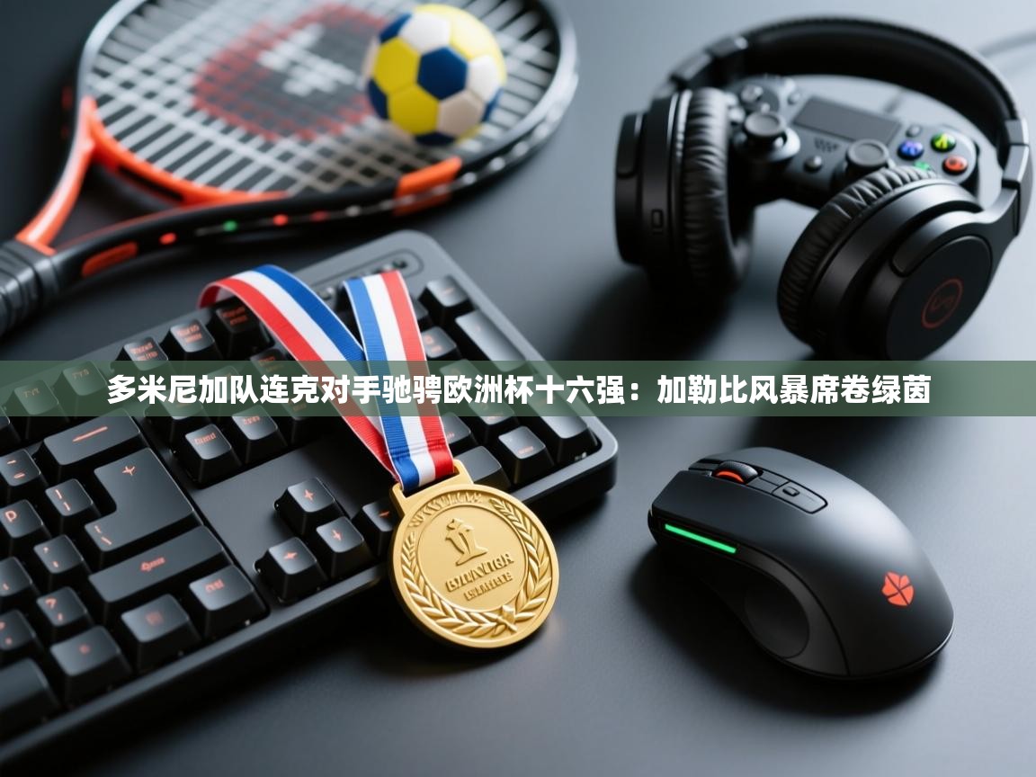 多米尼加队连克对手驰骋欧洲杯十六强：加勒比风暴席卷绿茵  第2张